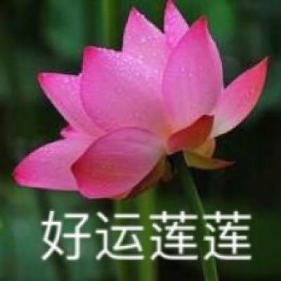 海岛奇兵网易云下载