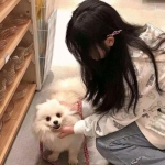 甜点王子2汉化版下载